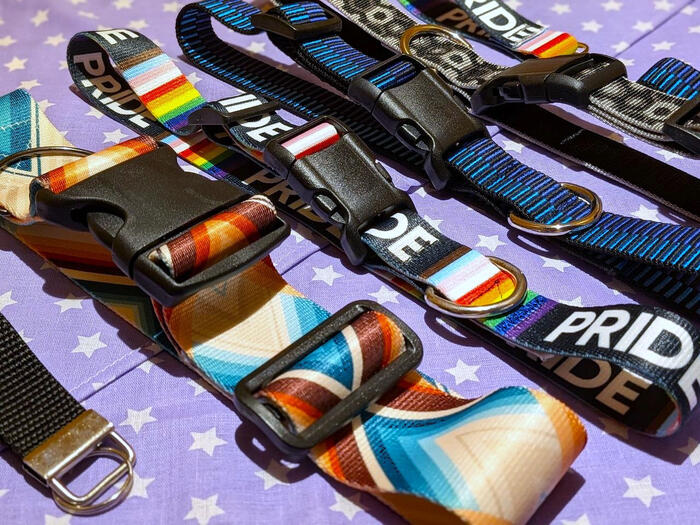 Collars and Keychains